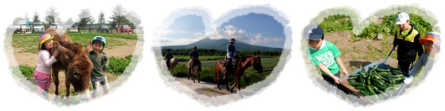 函館自由行牧場騎馬必去Paard Musée