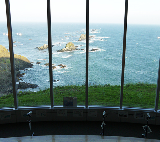 日勝半島風之館(風の館)