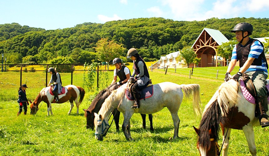 日勝半島浦河町浦河優駿VILLAGE AERU騎馬時藍天綠地心曠神怡