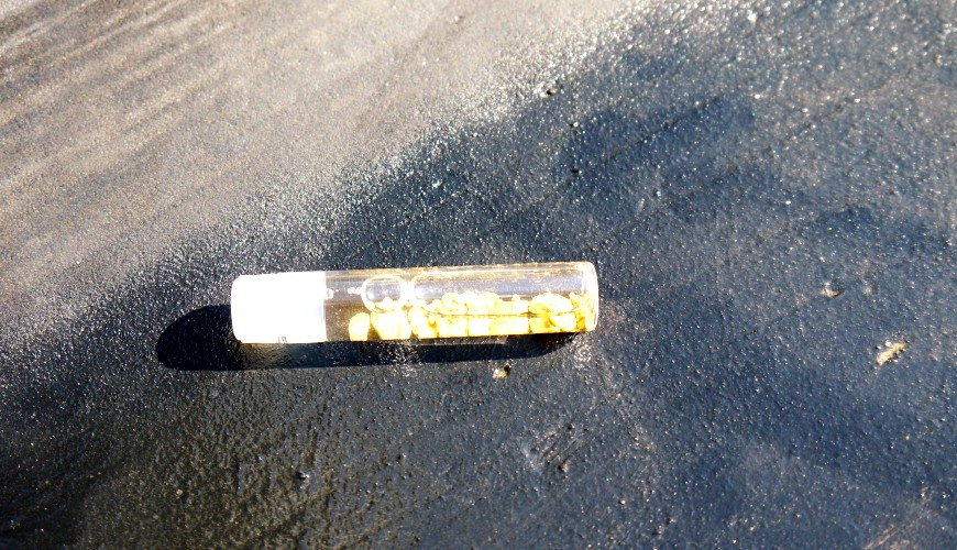 大樹町的歷舟川淘金砂體驗