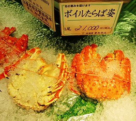 北海道新千岁机场土产店「北连」的北海道熟冻帝王蟹