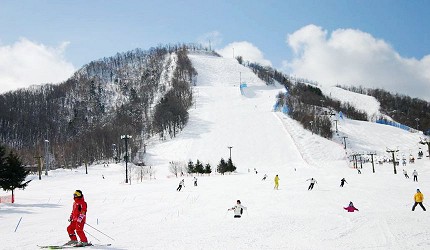 札幌自由行冬天必去滑雪景点「Fu's Snow Area」(フッズスノーエリア)