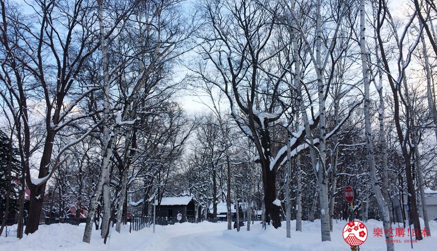 札幌自由行冬天必去景点「北海道大学」校园照片