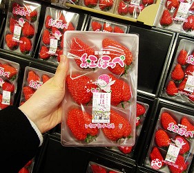 北海道札幌最大規模商場「AEON MALL 札幌發寒店」販售的草莓