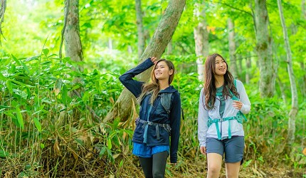北海道最大的四季度假胜地「留寿都度假区」的夏天爬山行山游山