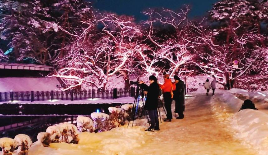 北海道函館青森弘前行程推薦推介滑雪溫泉雪櫻點燈日本北國風情體驗弘前公園內弘前城雪櫻點彩燈